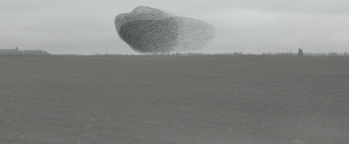 Screen Shot 2017-11-03 at 22.16.36